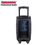 Temeisheng SL10-01 Trolley Speaker - Image 3