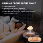 Rain Cloud Humidifier Water Drip, Mushroom Humidifier Waterfall Lamp - Image 7